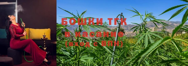 молекула духа Медногорск