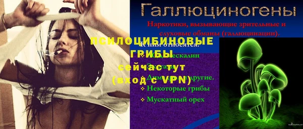 гидропоника Алексеевка